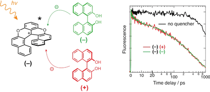 Graphical abstract: Looking for chiral recognition in photoinduced bimolecular electron transfer using ultrafast spectroscopy