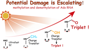 Graphical abstract: Distinct doorway states lead to triplet excited state generation in epigenetic RNA nucleosides