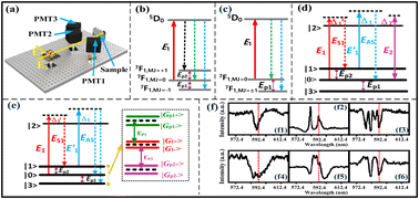 Graphical abstract: Spectral and temporal atomic coherence interaction in Eu3+ : NaYF4 and Eu3+ : BiPO4