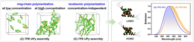 Graphical abstract: Elucidation of the key role of isomerization in the self-assembly and luminescence properties of AIEgens