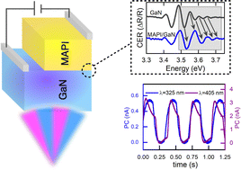 Graphical abstract: The influence of Fermi level position at the GaN surface on carrier transfer across the MAPbI3/GaN interface