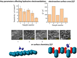 Graphical abstract: First principles of hydrazine electrooxidation at oxide-free and oxide-based palladium electrodes in complex media