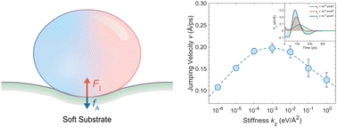 Graphical abstract: Optimum substrate stiffness in coalescence-induced droplet jumping