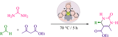 Graphical abstract: DFT stimulation and experimental insights of chiral Cu(ii)–salen scaffold within the pocket of MWW-zeolite and its catalytic study