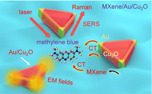 Graphical abstract: Optimized electromagnetic enhancement and charge transfer in MXene/Au/Cu2O hybrids for achieving efficient SERS