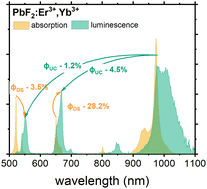 Graphical abstract: Absolute quantum yield for understanding upconversion and downshift luminescence in PbF2:Er3+,Yb3+ crystals