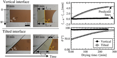 Graphical abstract: Position-dependent rates of film growth in drying colloidal suspensions on tilted air–water interfaces