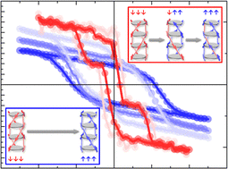 Graphical abstract: Ferro- and ferrielectricity and negative piezoelectricity in thioamide-based supramolecular organic discotics