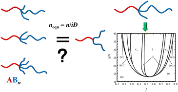 Graphical abstract: The impact of intramolecular polydispersity on the self-assembly of ABn miktoarm star copolymers