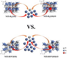 Graphical abstract: DFT investigation of the dissolution trends of NiTi alloys with the B2 and B19′ phases during the initial oxidation stage