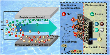 Graphical abstract: Selective capacitive removal of Pb2+ ion contaminants from drinking water via nickel foam/Mn2CoO4@tannic acid-Fe3+ electrodes