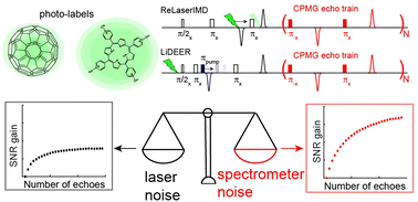 Graphical abstract: Sensitivity optimization in pulse EPR experiments with photo-labels by multiple-echo-integrated dynamical decoupling