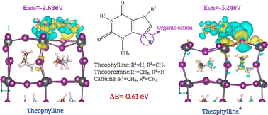 Graphical abstract: The role of organic cations as additives in photovoltaic perovskites