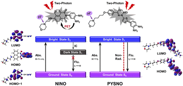Graphical abstract: Theoretical characterization of two-photon fluorescent probes for nitric oxide detection: sensing mechanism, photophysical properties and protonation effects