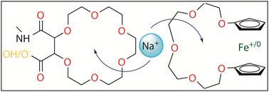 Graphical abstract: Cation recognition controlled by protonation or chemical reduction: a computational study