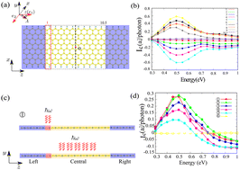 Graphical abstract: The effect of light-irradiated area on the spin dependent photocurrent in zigzag graphene nanoribbon junctions
