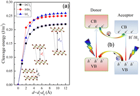 Graphical abstract: Stability and the electronic and optical properties of two-dimensional iridium trihalides with promising applications in photocatalytic water splitting