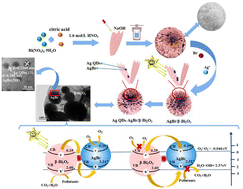 Graphical abstract: Construction of a Z-scheme heterojunction bifunctional photocatalyst with Ag-modified AgBr embedded in β-Bi2O3 flowers