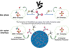 Graphical abstract: Determination of the influence of water on the SO3 + CH3OH reaction in the gas phase and at the air–water interface