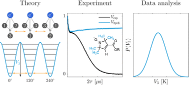 Graphical abstract: Quantifying methyl tunneling induced (de)coherence of nitroxides in glassy ortho-terphenyl at low temperatures
