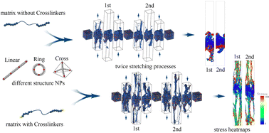 Graphical abstract: Molecular dynamics simulation insight into topological structure dependence of self-healing polymer nanocomposites