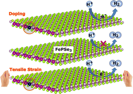 Graphical abstract: From the single-atom limit to the mixed-metal phase: finding the optimum condition for activating the basal plane of a FePSe3 monolayer towards HER