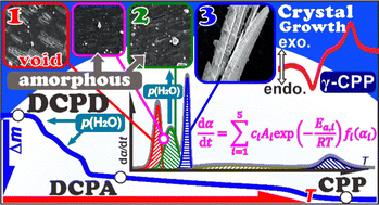 Graphical abstract: Physico-geometrical kinetic insight into multistep thermal dehydration of calcium hydrogen phosphate dihydrate