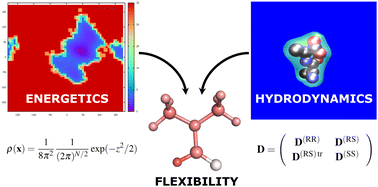 Graphical abstract: The roto-conformational diffusion tensor as a tool to interpret molecular flexibility