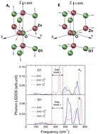 Graphical abstract: Structural and vibrational properties of wurtzite ZnO with oxygen-deficient defects: ab initio and potential-based calculations
