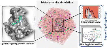 Graphical abstract: Metadynamics simulations of ligands binding to protein surfaces: a novel tool for rational drug design