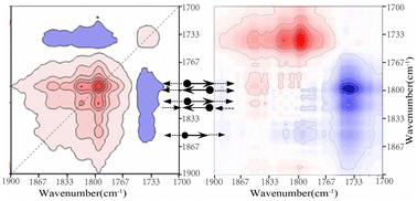 Graphical abstract: The intermolecular polar bond interaction and coupling induced spectral splitting phenomenon for a binary mixture