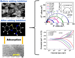 Graphical abstract: Experimental and theoretical investigation on the anti-corrosion characteristics of pyridine-substituted benzothiazole derivatives for mild steel in aqueous HCl