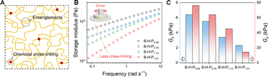 Graphical abstract: How chemical cross-linking and entanglements in polybutadiene elastomers cope with tearing