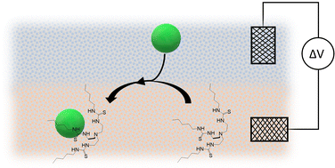 Graphical abstract: Electrochemical assessment of a tripodal thiourea-based anion receptor at the liquid|liquid interface