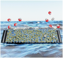 Graphical abstract: Scalable production of foam-like nickel–molybdenum coatings via plasma spraying as bifunctional electrocatalysts for water splitting