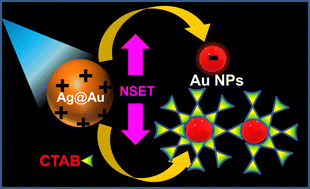 Graphical abstract: Understanding the mechanism of the energy transfer process from non-plasmonic fluorescence bimetallic nanoparticles to plasmonic gold nanoparticles