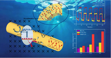 Graphical abstract: Enhanced photocatalytic activity of Ag@g-C3N4 nanotubes by regulating photogenerated carriers to bypass the recombination center under the Lorentz force