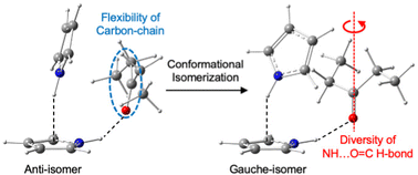 Graphical abstract: IR cavity ringdown spectroscopy and density functional theory calculation of pyrrole–diethyl ketone clusters: impacts of carbon-chain flexibility on the diversity of N–H⋯O [[double bond, length as m-dash]] C hydrogen bonds