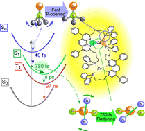 Graphical abstract: Structural change dynamics of heteroleptic Cu(i) complexes observed by ultrafast emission spectroscopy