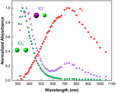 Graphical abstract: Impact of iodide ions on the speciation of radiolytic transients in molten LiCl–KCl eutectic salt mixtures