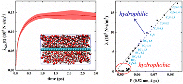 Graphical abstract: A numerical model for water hydration on nanosurfaces: from friction to hydrophilicity and hydrophobicity