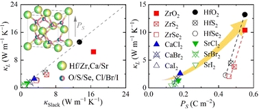 Graphical abstract: First-principles study of thermal transport properties in ferroelectric HfO2 and related fluorite-structure ferroelectrics