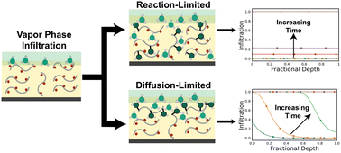 Graphical abstract: Interpreting inorganic compositional depth profiles to understand the rate-limiting step in vapor phase infiltration processes