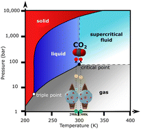 Graphical abstract: Reactivity of presolvated and solvated electrons with CO2 in water up to 118 bar at 298 and 308 K