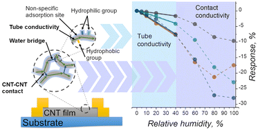 Graphical abstract: Tuning humidity sensing properties via grafting fluorine and nitrogen-containing species on single-walled carbon nanotubes