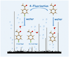 Graphical abstract: Fluorination effects probed in 4-fluoroacetophenone and its monohydrate