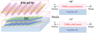 Graphical abstract: The effect of switchable electronic polarization states on the electronic properties of two-dimensional multiferroic TMBr2/Ga2SSe2 (TM = V–Ni) heterostructures