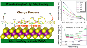 Graphical abstract: A computational study on bifunctional 1T-MnS2 with an adsorption-catalysis effect for lithium–sulfur batteries