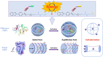 Graphical abstract: Origin of stronger binding of ionic pair (IP) inhibitor to Aβ42 than the equimolar neutral counterparts: synergy mechanism of IP in disrupting Aβ42 protofibril and inhibiting Aβ42 aggregation under two pH conditions