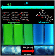 Graphical abstract: Structural isomerism induces pH dependent AIE-coupled ESIPT: an in-depth spectroscopic exploration with application in amine vapor sensing